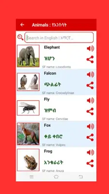 Amharic Word Book android App screenshot 1