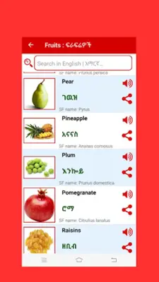 Amharic Word Book android App screenshot 3